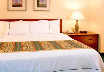 Residence Inn Atlanta Perimeter Center Sandy Springs Rum bild